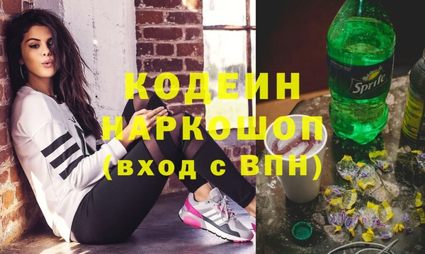 шишки Горно-Алтайск