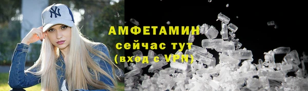 шишки Горно-Алтайск