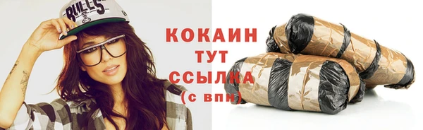шишки Горно-Алтайск