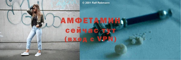 шишки Горно-Алтайск