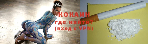 шишки Горно-Алтайск