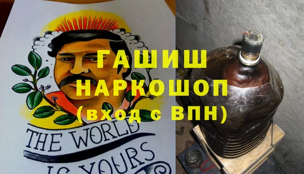 шишки Горно-Алтайск