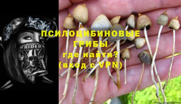 шишки Горно-Алтайск