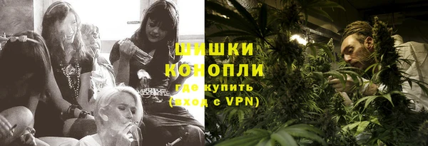шишки Горно-Алтайск